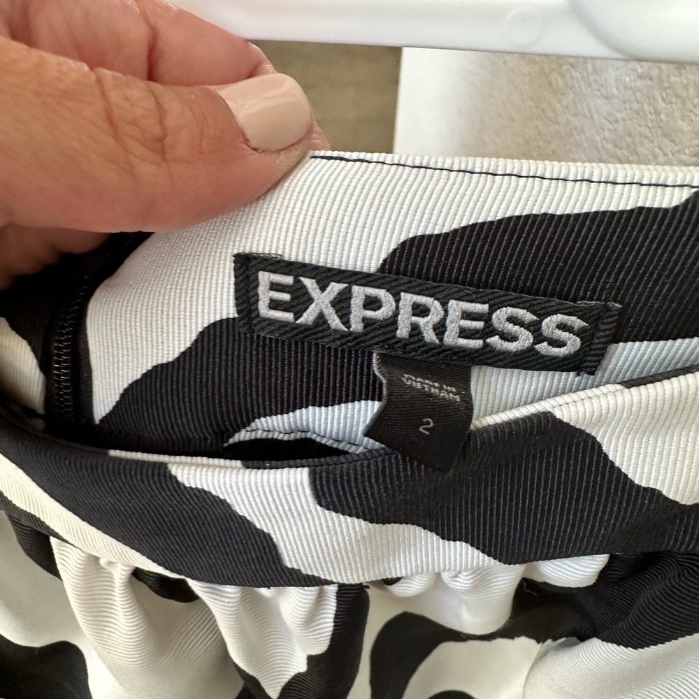 Express Skirt - Picture 2 of 3